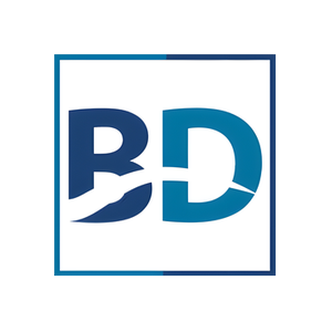 Blue Dream Rental Boats brand logo for bluedreamrentalboats.it