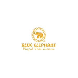 Blue Elephant brand logo for blueelephantcanada.com