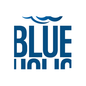Blue Holics brand logo for blueholicscuba.com