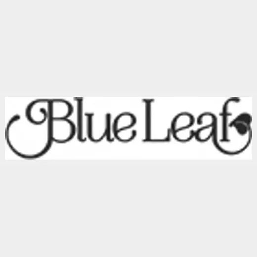Blue Leaf brand logo for blueleafhouston.com