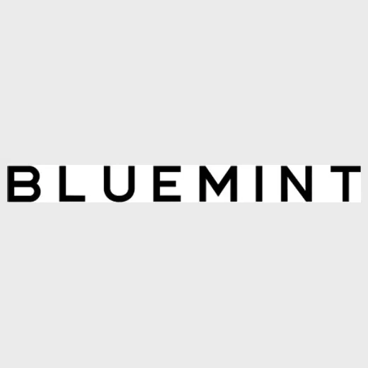 Blue Mint brand logo for bluemint.com
