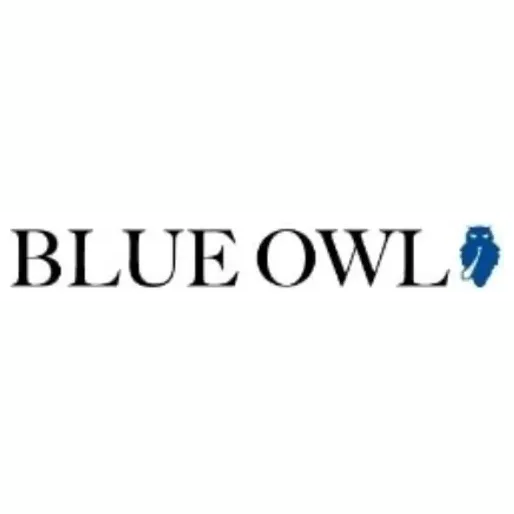 Blue Owl brand logo for blueowl.us
