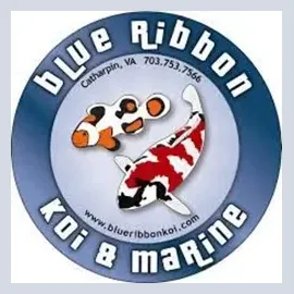 Blue Ribbon Koi brand logo for blueribbonkoi.com