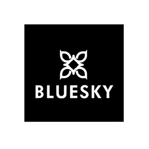 Blue Sky Nails brand logo for blueskynails.de