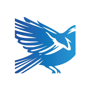 Blue Sparrow Music brand logo for bluesparrowmusic.blue