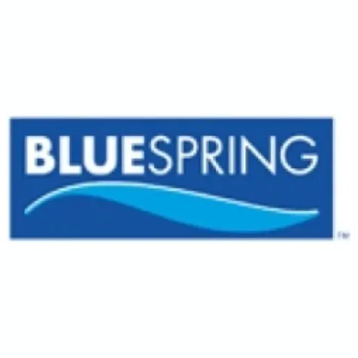 Blue Spring Wellness brand logo for bluespringwellness.com