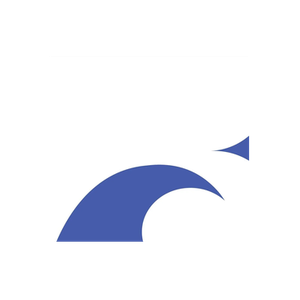 Blue Tanning brand logo for bluetanning.com