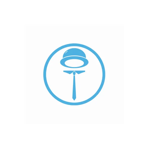Blue Winston brand logo for bluewinston.com