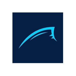 Bluefin SUP brand logo for bluefinsupboards.com