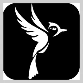 Bluejay brand logo for bluejay.store