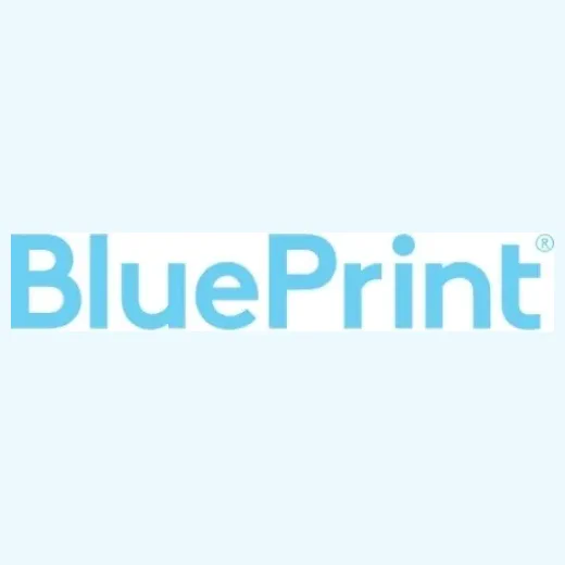 Blueprint Print brand logo for blueprint.com