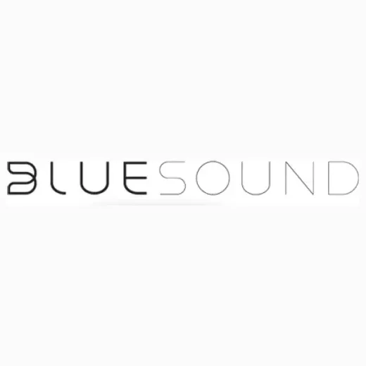 Bluesound brand logo for bluesound.com