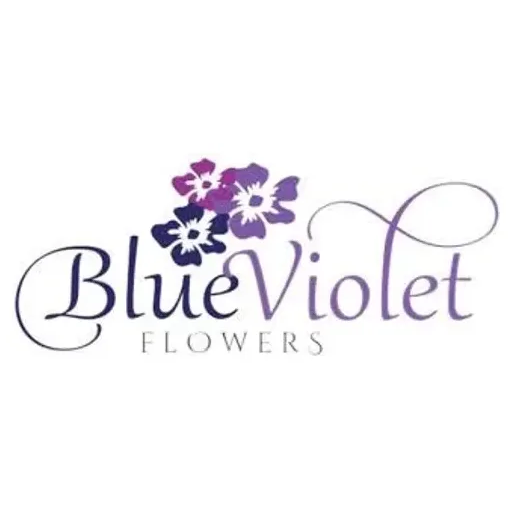 bluevioletflowersca brand logo for bluevioletflowersca.com