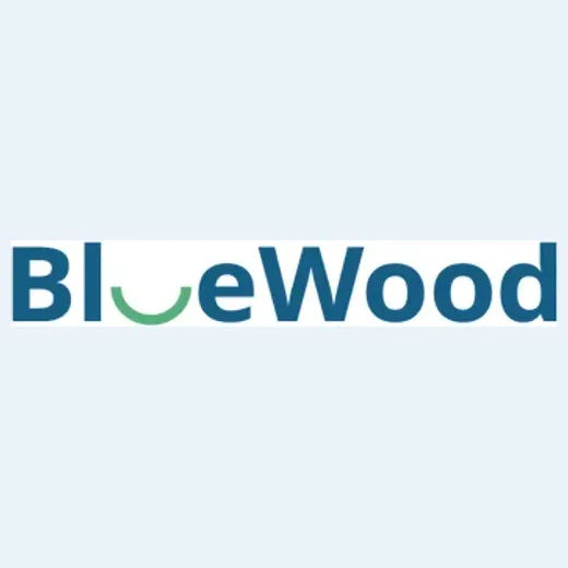 Bluewood Kids brand logo for bluewoodkids.com