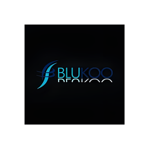 Blukoo brand logo for blukoo.com