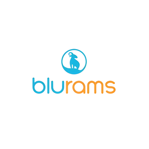 Blurams brand logo for blurams.com