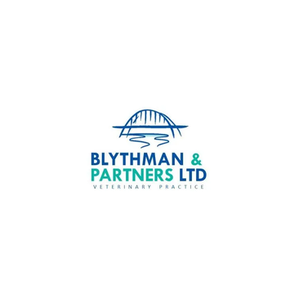 Blythman & Partners brand logo for blythmanandpartners.co.uk