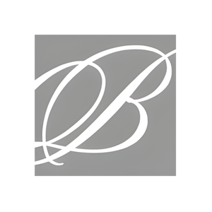 Blza brand logo for blza.com