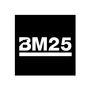 BM25 brand logo for bm25.com