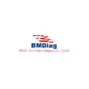 BMDiag brand logo for bmdiag.co.uk