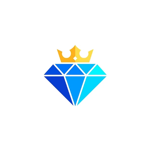 BNB Supreme brand logo for bnbsupreme.org