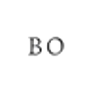 Bo Odenthal brand logo for bo-odenthal.com