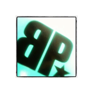 Board Paradise brand logo for boardparadise.com