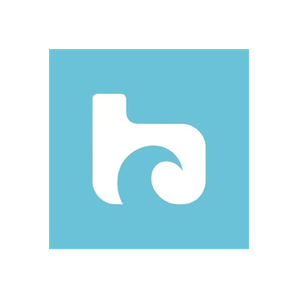 Boardmasters brand logo for boardmasters.com
