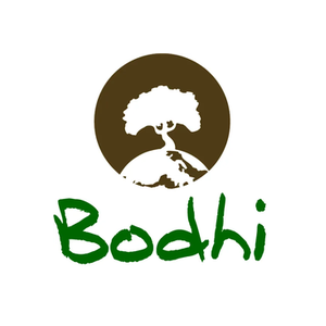Bodhi Bars brand logo for bodhibars.com