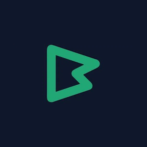 bodhigpt brand logo for bodhigpt.com
