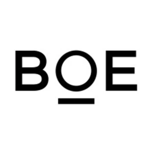 BOEVX brand logo for boevxusa.com