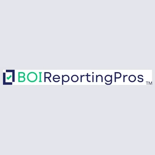 boireportingpros brand logo for boireportingpros.com