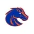 Boise State Broncos brand logo for shop.broncosports.com