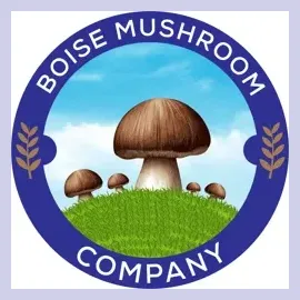 boisemushroom brand logo for boisemushroom.com
