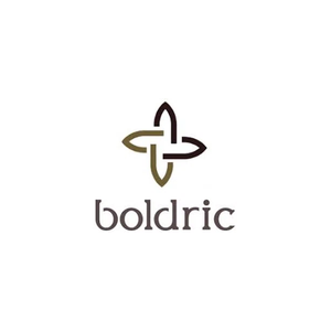 Boldric brand logo for boldric.com