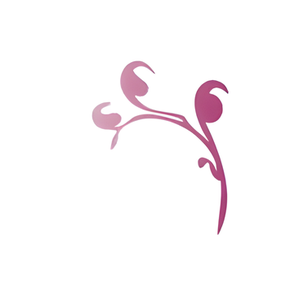 Bolton Furniture brand logo for boltonfurniture.com