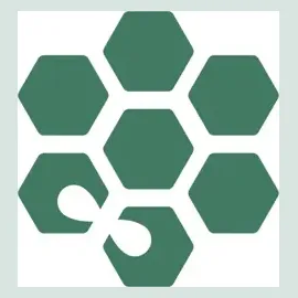 Bombi brand logo for bombigear.com