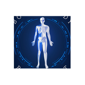 Bone & Body brand logo for boneandbodyblueprint.co.nz