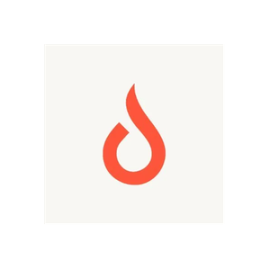 Bonfire Ventures brand logo for bonfirevc.com
