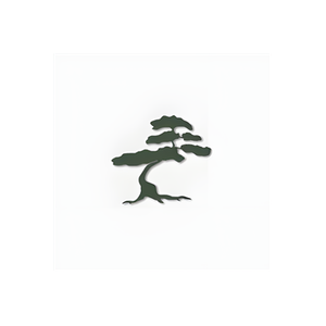 Bonsai Cha brand logo for bonsaicha.com