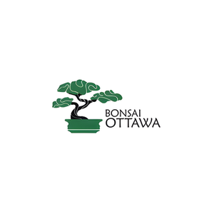 Bonsai Ottawa brand logo for bonsaiottawa.ca