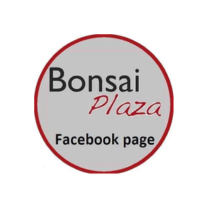 Bonsai Plaza brand logo for bonsaiplaza.com