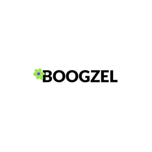 Boogzel brand logo for boogzelclothing.com