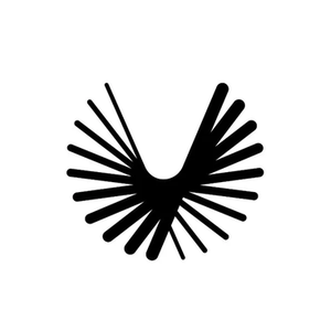 Boom Supersonic brand logo for boomsupersonic.com