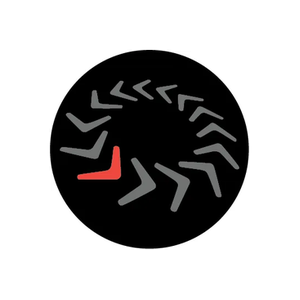 Boomerang Bike brand logo for boomerangbike.com