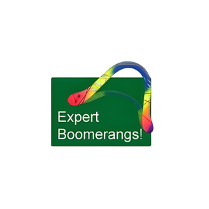 Boomerangs brand logo for boomerangs.com