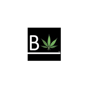 Boomfiya brand logo for boomfiya.com