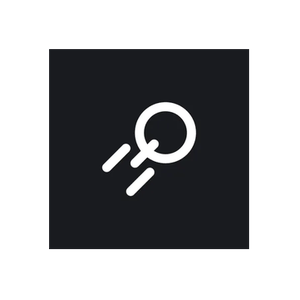 Boosteroid brand logo for boosteroid.com