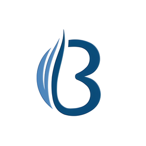 Boreas brand logo for boreasplunge.com