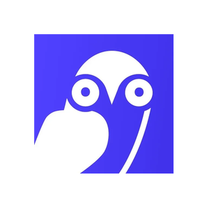 Boring Owl brand logo for boringowl.io